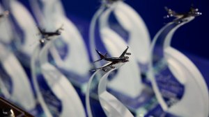 ВОЗДУШНЫЙ ПРИЗЕР | Новости Камчатки | Масс Медиа