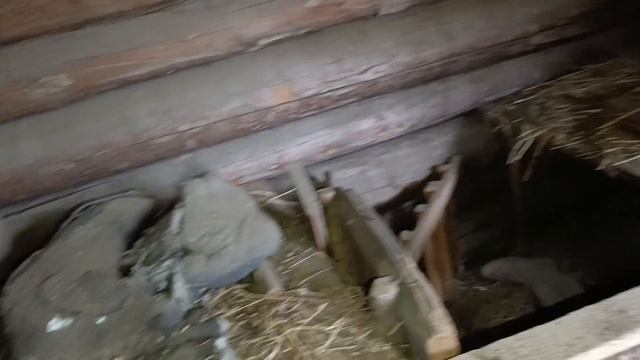 заброшенная деревня