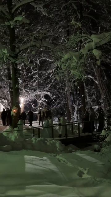 Приключения француженки в России