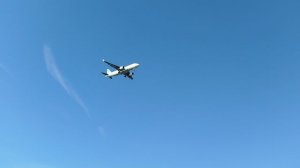 Адлер. Январь 2026.