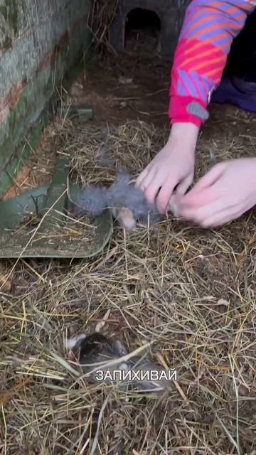 Как сделать так чтобы кролики не мерзли!