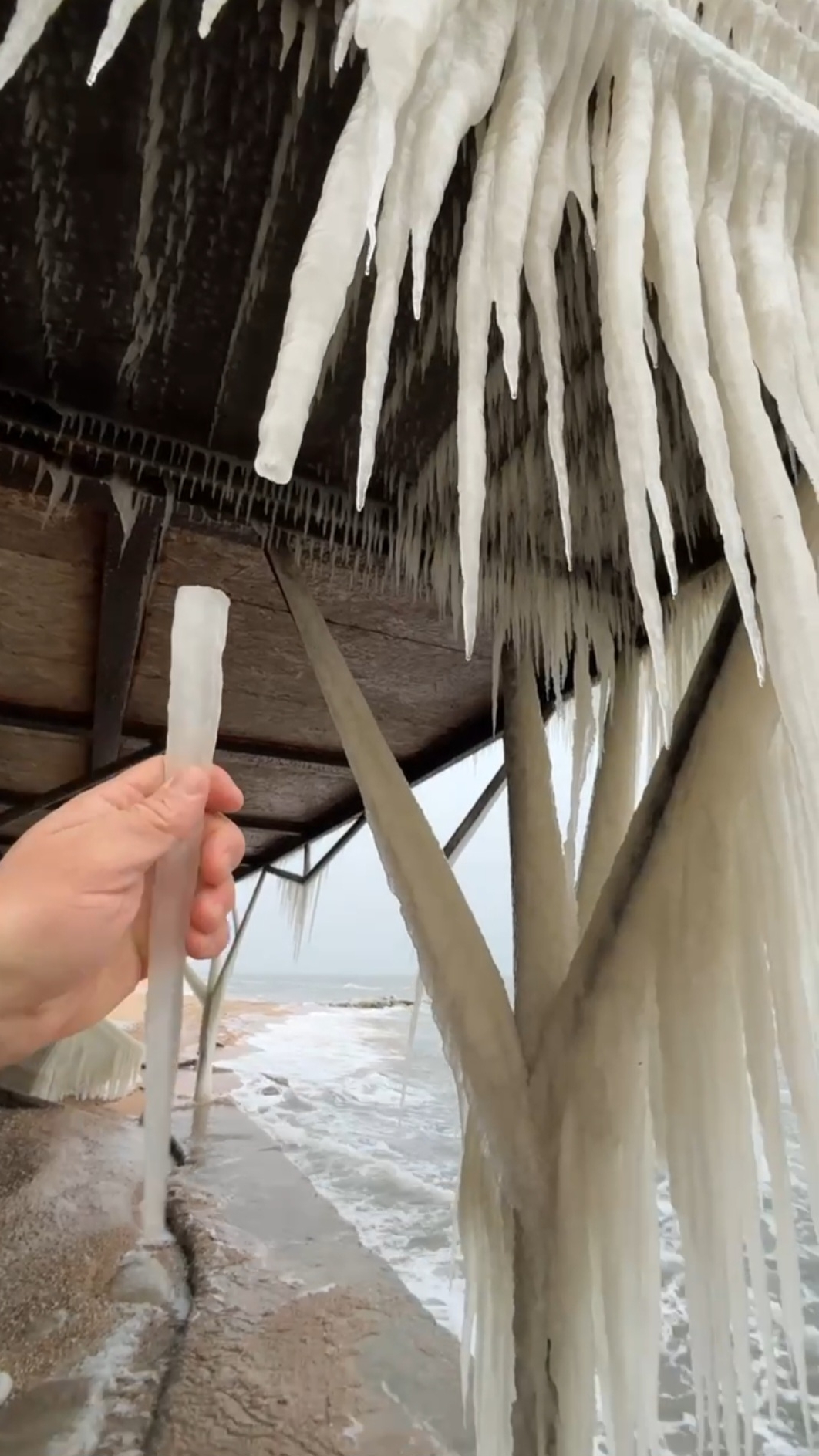 Чт, 5 февраля, 2026 Южный берег Азовского моря Краснодарский край #Голубицкая