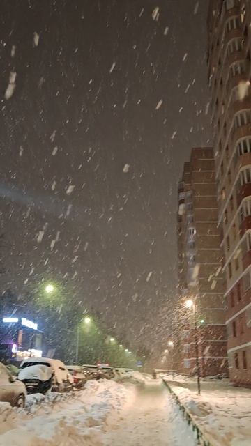 «Зима устроила засаду»