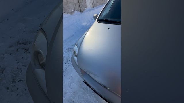 IMG_8121 смотреть онлайн