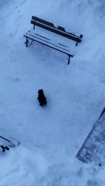 PXL_20260203_081111568