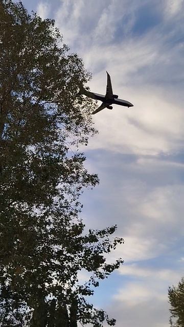 Адлер, улица Голубая, смотровая площадка для наблюдения за самолётами, октябрь 2025.