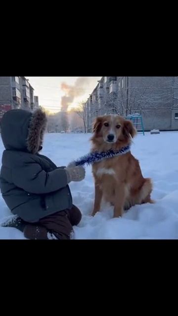 #дети #новыйгод #радость #время_чудес #игры #коллектив #забава #праздник #дети #новыйгод #радость #время_чудес #игры #коллектив #забава #праздник