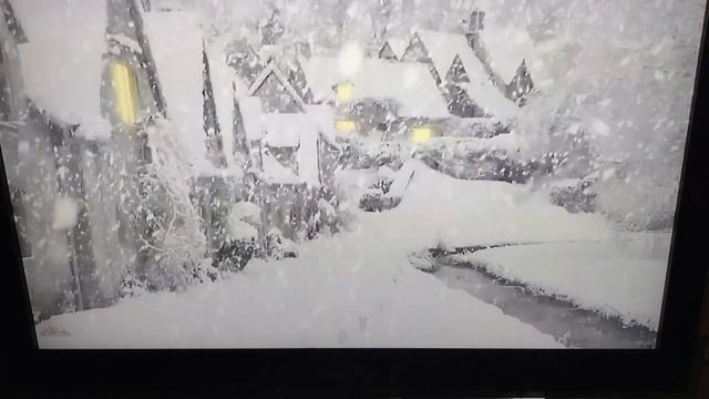 Сергей Милейко — Белые снежинки…