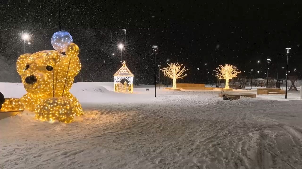 Комфортная среда и активный отдых в экопарке «Зелёная гавань» смотреть онлайн