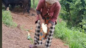 30серия/Жизнь в горной деревне Непала | в непальской бедной, но счастливой семье