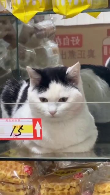 Это что за сладкая булочка такая?🥰