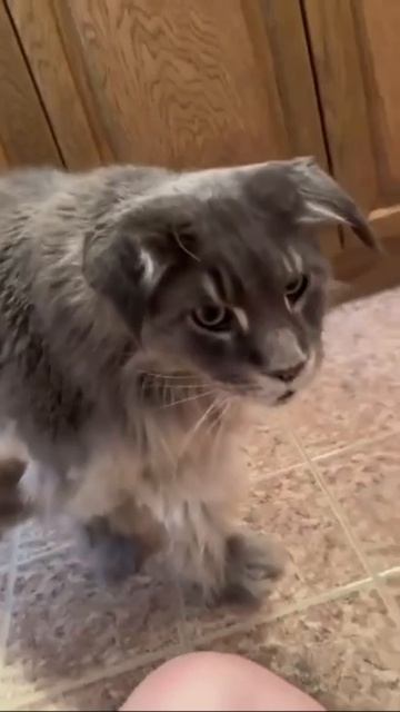 Настороженно относимся к сомнительной информации