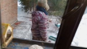 замечательное утро