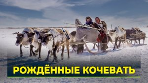 Кочевым семьям в России упростили порядок регистрации статуса