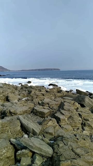 Знакомый пригласил погулять.