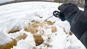 ЗАБРАЛИСЬ В ГЛУШЬ, где ГЛУБИНА 20СМ и РЫБА удочку ГНЁТ. ДУШЕВНАЯ рыбалка зимой в 2026