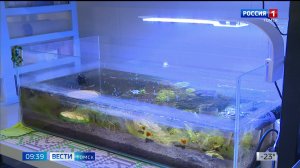 Вести-Томск, выпуск от 05.02.2026 09:30