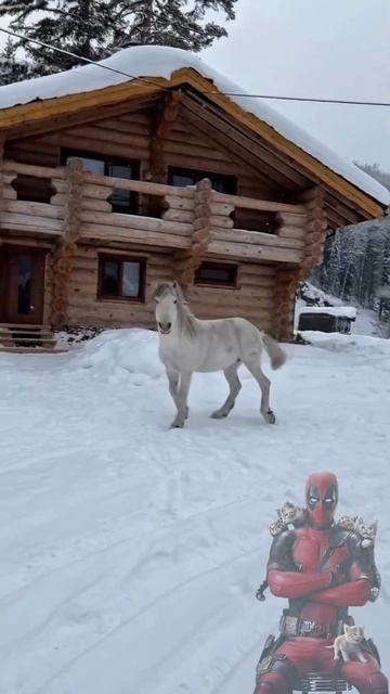 Пусть любовь взорвется БбУум БбУум 😼🫶😎 Пусть любовь взорвется БбУум БбУум 😼🫶😎