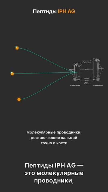 Необходимость научного обоснования #остеопороз #крепкиекости #кальций