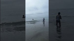 Открытие пляжного сезона