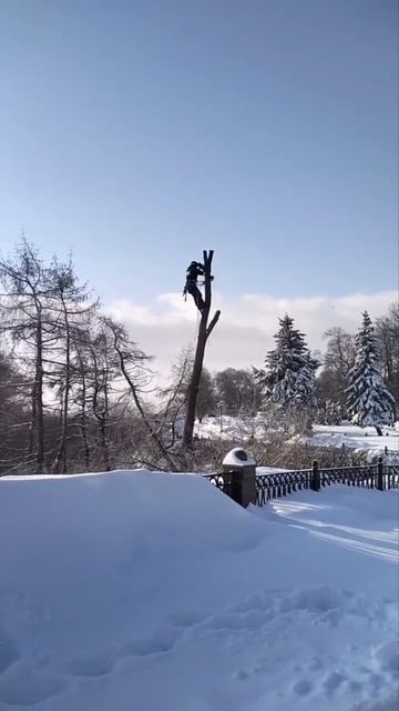 😬 Косогор парка «Дружбы народов» расчищают от поросли.  Городские спасатели работают, несмотря на м