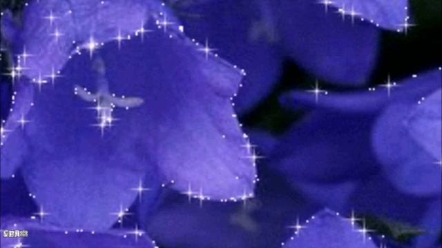 (На Волне Шансона) — Ошибочка вышла…ПРЕМЬЕРА ПЕСНИ.ВОКАЛ