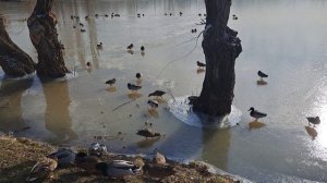 Вот так жизнь и протекает....