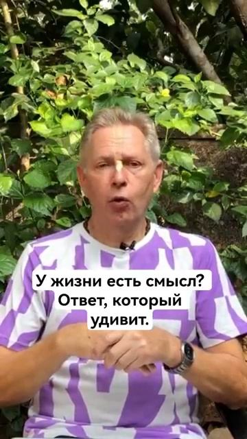 У жизни есть смысл. Ответ который удивит — Е.М. Враджендра Кумар прабху У жизни есть смысл. Ответ который удивит — Е.М. Враджендра Кумар прабху