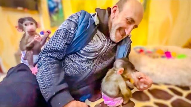 Степашка с Маняшей мирно КУШАЛИ КУРАГУ, но тут пришла Люся и всё ПОДЕЛИЛА по справедливости))) смотреть онлайн