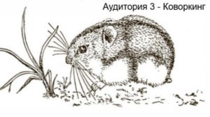 Аудитория 3 - Филогеография и структура вида