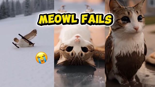 НЕУДАЧИ КОТИКА МЯУ! ПОДБОРКА ЛЕГЕНДАРНЫХ МОМЕНТОВ КОТИКА МЯУ МЯУ РЕАКЦИЯ НА ЭТУ ЛЕГЕНДУ смотреть онлайн