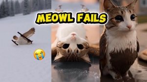 НЕУДАЧИ КОТИКА МЯУ! ПОДБОРКА ЛЕГЕНДАРНЫХ МОМЕНТОВ КОТИКА МЯУ МЯУ РЕАКЦИЯ НА ЭТУ ЛЕГЕНДУ