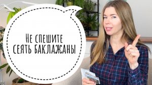 КОГДА СЕЯТЬ БАКЛАЖАНЫ НА РАССАДУ. Какие сорта буду выращивать