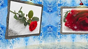 Розы на Снегу в Ледяной Галерее 1 от Киностудии Мудрого Кота Тимофея!