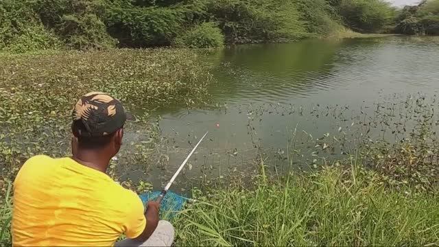 ЛОВЛЯ НЕОБЫЧНОЙ РЫБЫ смотреть онлайн