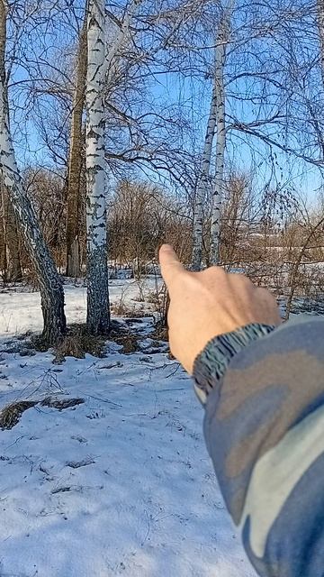 ✌️20260205_133027