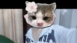 VLOG Дня 💗💗💗