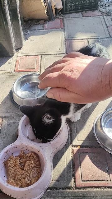 Благодаря волшебникам, сегодня утро по-настоящему доброе!