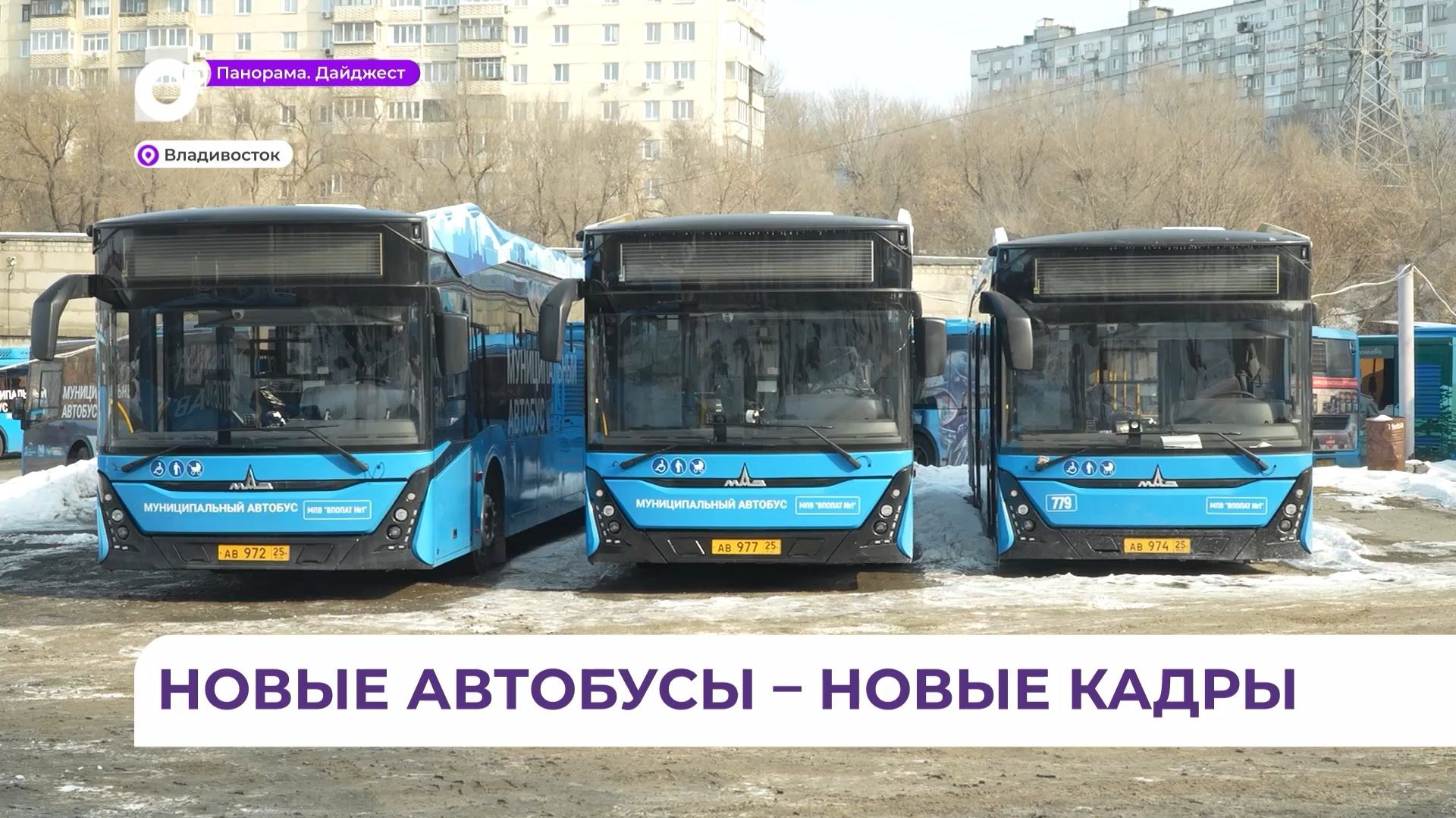 Автобусов во Владивостоке стало больше, и предприятие ждёт новые кадры