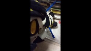 Кот Фантик:4 сезон 5 серия. Дорогая на свободе