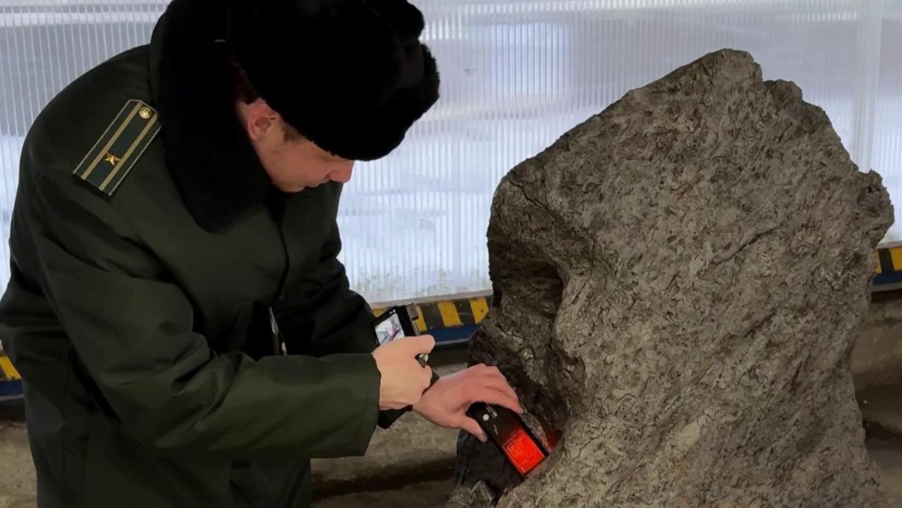 В Петербурге предотвратили вывоз фрагмента древнего метеорита Алетай. смотреть онлайн