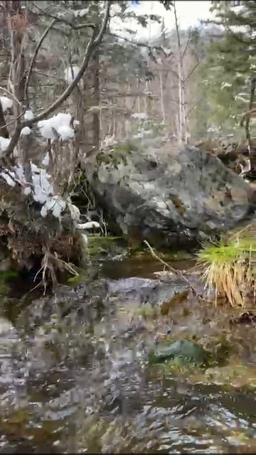 Чистейшие воды Алтая!