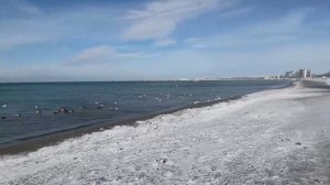 Пляжного сезона в 2026 году в Анапе опять может не быть