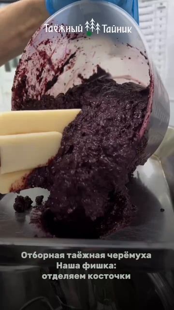 🌲Как рождается вкус тайги