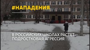 Ножи, поджоги и стрельба: в российских школах растет подростковая агрессия
