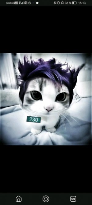 делаю дз по матеше (пишите что угодно)