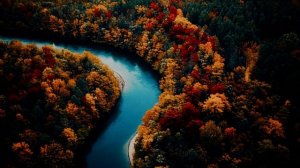 ЗДРАВСТВУЙ,ЧУДО.   СОНГЛИ ГИФТ.