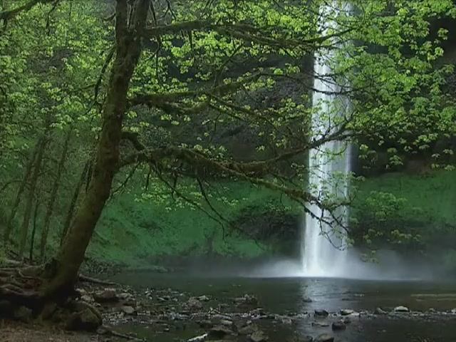 МУЗЫКА ДЛЯ СНЯТИЯ СТРЕССА И ПОГРУЖЕНИЯ В СОН смотреть онлайн