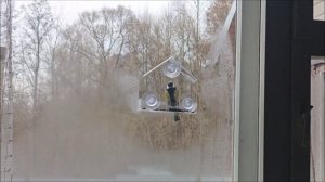 У синичек новая кормушка // Похоже, она им понравилась