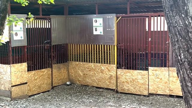 Ненужные и живые